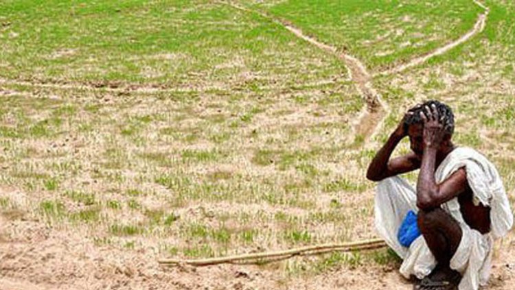 बिन मौसम बरसात से किसानों की टूटी कमर, हुए मायूस
