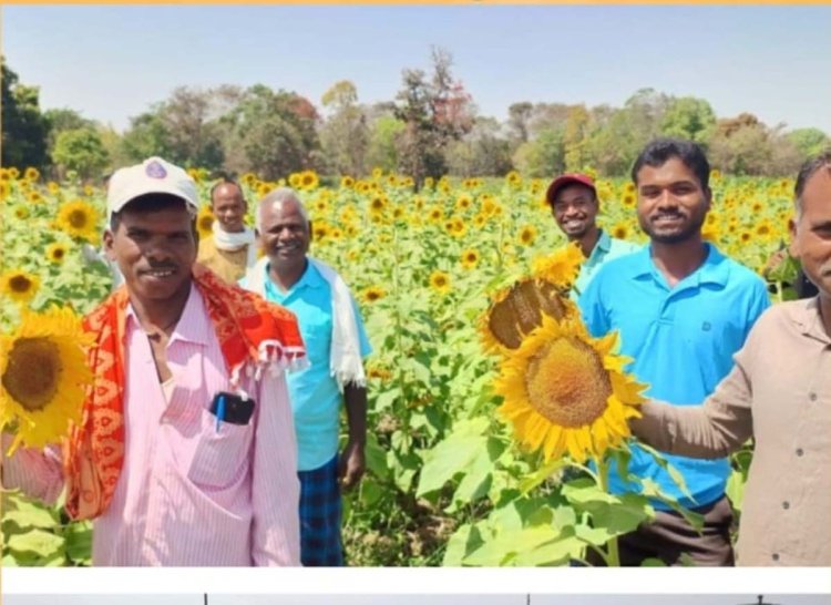 छत्तीसगढ़ में खेती का स्वर्णिम अध्याय शुरू : केंद्रीय कृषि मंत्रालय