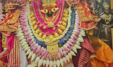 विंध्यधाम से अयोध्या तक वंदे भारत ट्रेन दौड़ाने की सिफारिश! धार्मिक पर्यटन को मिलेगी हाईस्पीड रफ्तार