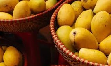 लखनऊ में होगा तीन दिवसीय आम महोत्सव, प्रदर्शनी के लिए मांगा आवेदन