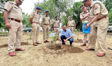 पौधारोपण कर ही पर्यावरण को रखा जा सकता है संतुलित : सतपाल अंतिल