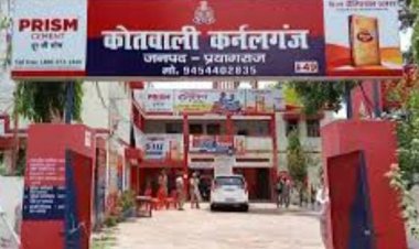 प्रयागराज में बारिश और तेज हवाओं का कहर: ड्यूटी जा रहे सिंचाई कर्मी पर टूटा पीपल का पेड़, दर्दनाक मौत