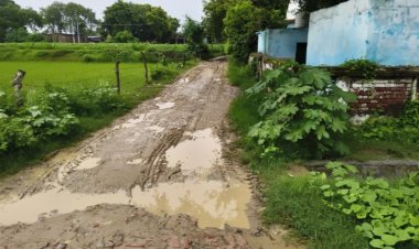 ग्राम पंचायत सेहुदपुर में गंदगी और जलभराव से ग्रामीण बेहाल