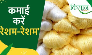 किसानों की तकदीर बुनेंगे रेशम के कीड़े, खुलेगी समृद्धि की राह