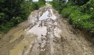 द्वारिकापुर गांव की बदहाली पर ग्रामीणों का फूटा गुस्सा, बोले – सड़क नहीं तो वोट नहीं