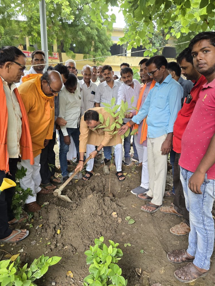 जिले के 20 मंडलों में भाजपा ने रोपित किए एक लाख पौधे