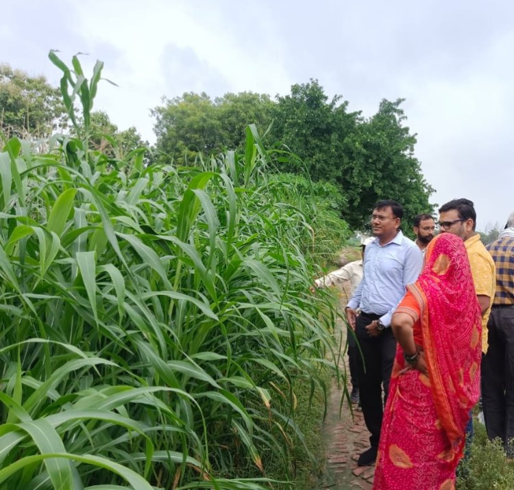 वाराणसी के सेवापुरी में उप निदेशक ने किया जैविक क्लस्टरों का स्थलीय निरीक्षण