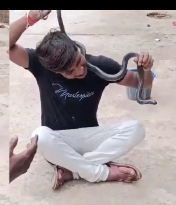 रील बनाने के चक्कर में युवक को नाग ने डसा, अस्पताल में भर्ती