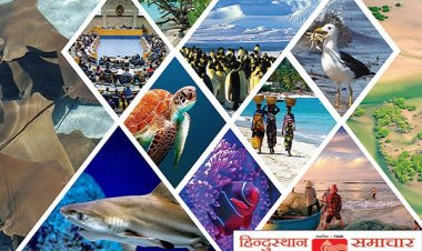 धूम मचा रहा बीएसएनएल का ‘फ्रीडम प्लान’, 1 रुपये में डेटा-कॉल सब फ्री!