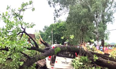 चित्रकूट में कार पर गिरा पेड़, बुजुर्ग दंपति की मौत