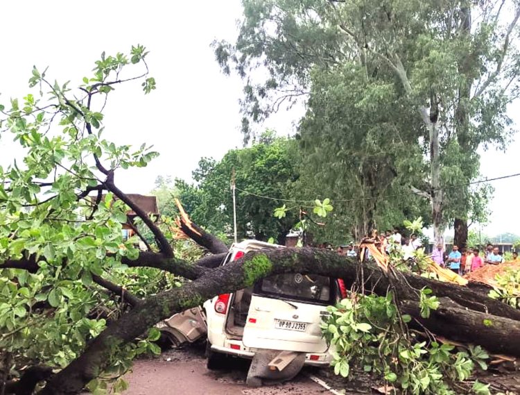 चित्रकूट में कार पर गिरा पेड़, बुजुर्ग दंपति की मौत