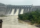 काेरबा में बांगो बांध के तीन गेट खोले गए