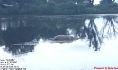 सरकारी मत्स्य बीज (नर्सरी) में दबंगों के अवैध कब्जे से हो रही राजस्व की हानि,पुलिस मौन
