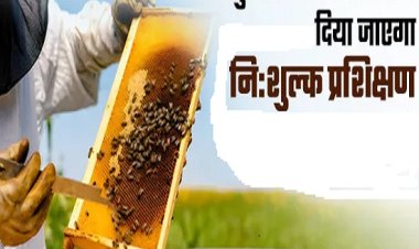 नब्बे दिवसीय मधुमक्खी पालन नि:शुल्क प्रशिक्षण कराने को उद्यान विभाग ने मांगा आवेदन