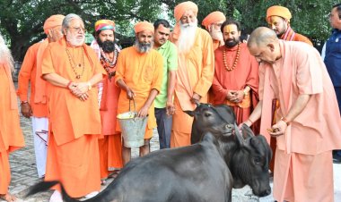 सीएम योगी ने की गोसेवा,भवानी और भोलू को दुलारा, पुंज को भी खिलाया गुड़*