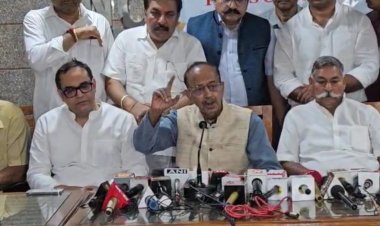 आवारा कुत्तों की समस्या को लेकर पूर्व केंद्रीय मंत्री सुप्रीम कोर्ट में रखेंगे पक्ष