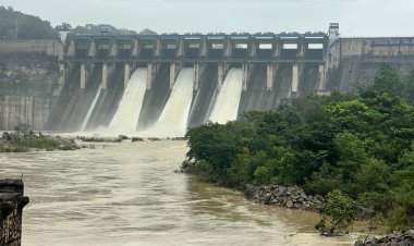काेरबा में बांगो बांध के तीन गेट खोले गए