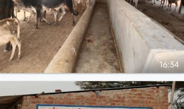 सीडीओ ने दिए सभी गौशालाओं के जांच के दिए निर्देश