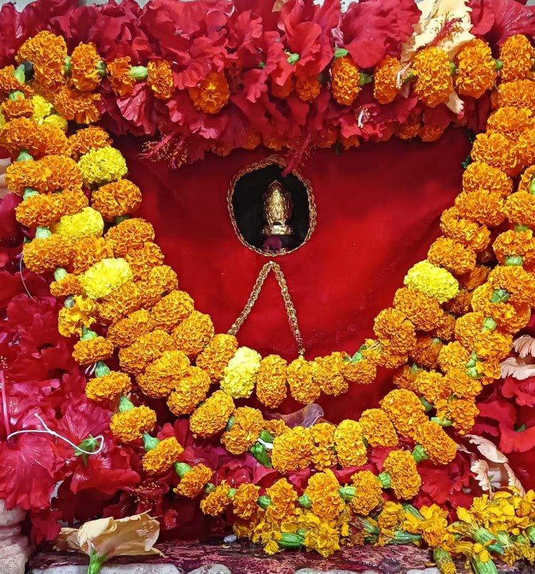 गड़बड़ा शीतला धाम में उमड़ी श्रद्धा की भीड़, मां शीतला के दरबार में गूंजे जयकारे