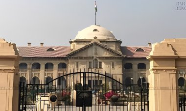 हाईकोर्ट में पतियों की तरफ से याचिका : कहा, पति अब पत्नियों से हो रहे हैं प्रताड़ित