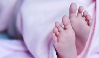 नाले में मिला नवजात बच्ची का शव, पोस्टमार्टम रिपोर्ट में मौत का कारण स्पष्ट नहीं