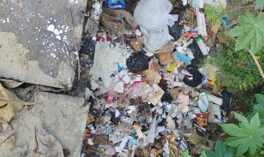 मिलावटखोरों पर खाद्य सुरक्षा विभाग का लगातार पड़ रहा चाबुक