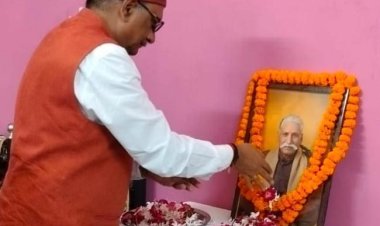 स्वर्गीय दादू लाल पाण्डेय का व्यक्तित्व शिक्षकों और समाज के लिए प्रेरणास्रोत : पीएन दिवेदी