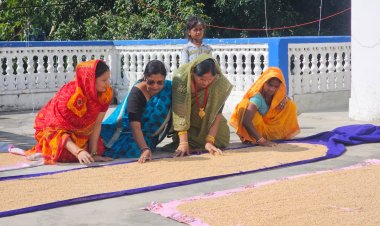 छठ महापर्व के प्रसाद के लिए छठव्रतियों ने सुखाए गेहूं,छठ की गीतों से गूंजा वातावरण