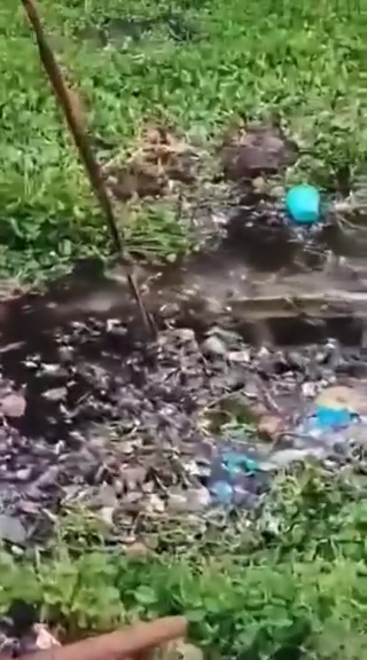 फतेहपुर में भीषण सड़क हादसा | प्रयागराज के 4 युवकों की दर्दनाक मौत, 5 घायल