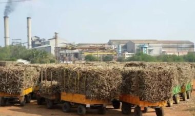 प्रदेश की 21 चीनी मिलों ने शुरू किया गन्ना पेराई कार्य