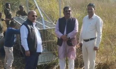 बिजनौर में बाघ दिखने पर ग्रामीणों में दहशत, वन विभाग ने लगाया पिंजरा