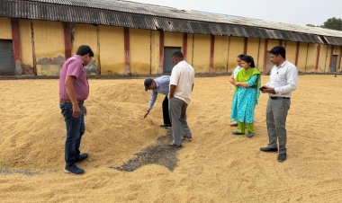 सीएम के 48 घंटे में भुगतान के निर्देश के बाद तेज हुई धान खरीद, बरेली मंडल के 17 हजार किसानों को मिला लाभ