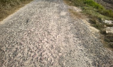 जर्जर सड़क से ग्रामीण परेशान, सुधार कार्य जल्द शुरू करने की मांग