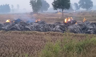 खलिहान में लगी आग से 11 किसानों की 34 बीघा की फसल राख