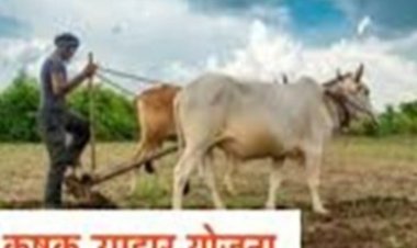 मुख्यमंत्री कृषक उपहार योजना का ड्रा 29 नवम्बर को