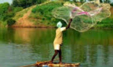 निषाद राज बोट सब्सिडी योजना में प्रयागराज के सौ से अधिक मछुआरों को मिलेगा लाभ