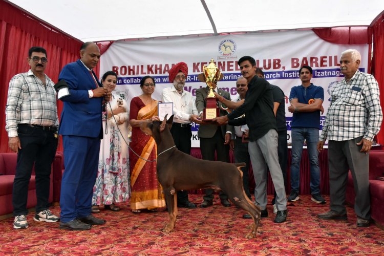 आईवीआरआई में भव्य डॉग शो, देहरादून के डाबरमैन और लैब्राडोर ने जीता दिल
