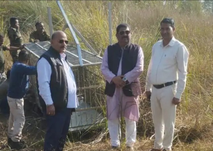 बिजनौर में बाघ दिखने पर ग्रामीणों में दहशत, वन विभाग ने लगाया पिंजरा