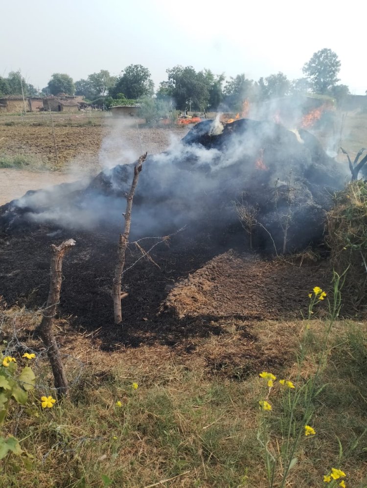 खलिहान में लगी आग, तीन बीघा धान व दो बीघा पुआल राख