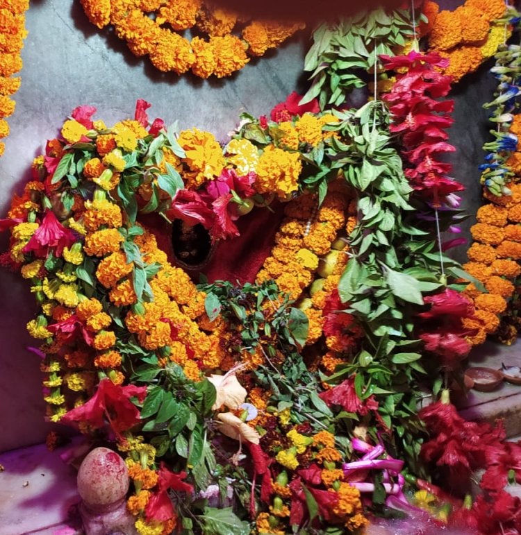 गड़बड़ा धाम में उमड़ी आस्था, 50 हजार से अधिक श्रद्धालुओं ने किए मां शीतला के दर्शन