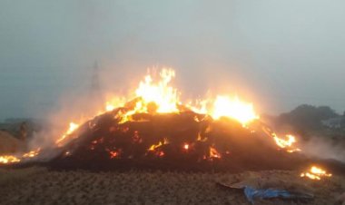 खलिहान में आग से पांच बीघा धान राख, दो जगहों पर किसानों की मेहनत खाक