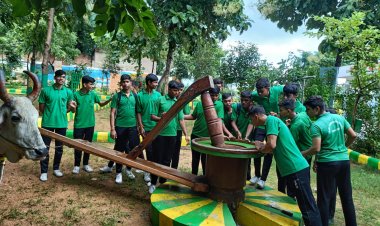 झांसी : कान्हा उपवन कर रहा मुख्यमंत्री की मंशा को साकार, गौ परिक्रमा पथ खींच रहा लोगों का ध्यान