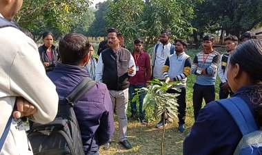 आम की सघन बागवानी में करें कैनोपी प्रबंधन : डॉ वीरेंद्र सिंह