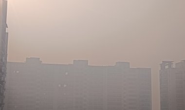 सांसों पर आफतः गैस चैंबर बना एनसीआर, सभी प्रमुख शहर डार्क रेड जोन में, ग्रैप -4 लागू