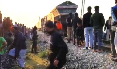 राजधानी एक्सप्रेस से टकरा     कर सात हाथियों की मौत