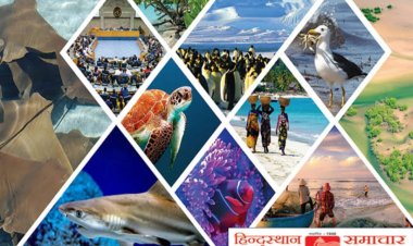 किसान सम्मान दिवस पर उत्कृष्ट कृषकों का होगा सम्मान, मीरजापुर के किसान बढ़ाएंगे प्रदेश का मान