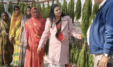 मोरिंगा से आत्मनिर्भर बन रहीं यूपी की ग्रामीण महिलाएं