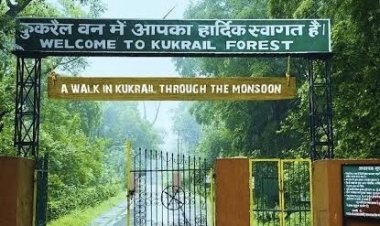 कुकरैल वन क्षेत्र में ईको टूरिज्म सुविधाओं का विस्तार