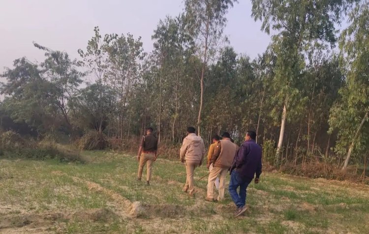 कारागार राज्य मंत्री के घर के पीछे मिले संदिग्ध तेंदुए के पद चिन्ह