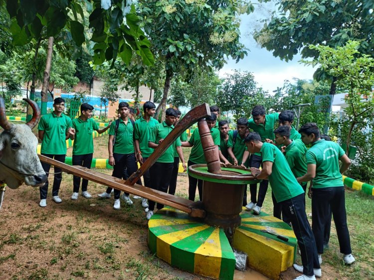 झांसी : कान्हा उपवन कर रहा मुख्यमंत्री की मंशा को साकार, गौ परिक्रमा पथ खींच रहा लोगों का ध्यान